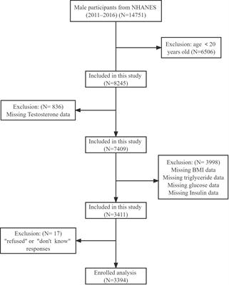 A negative association between triglyceride glucose-body mass index and testosterone in adult males: a cross-sectional study